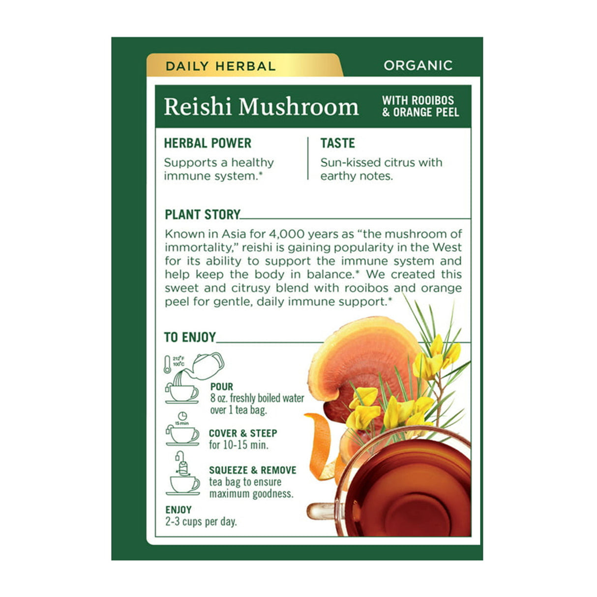 TRADITIONAL MEDICINALS TEAS Organic Reishi Mushroom w/ Rooibos & Orange Peel Tea 16 BAG