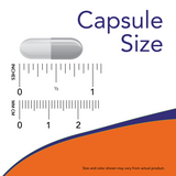 Now PROBIOTIC-10 50 BILLION  50 VCAPS