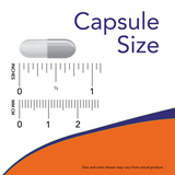 Now PANCREATIN 2000 (200mg 10X)  250 CAPS