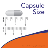 Now PLANT ENZYMES   240 VCAPS