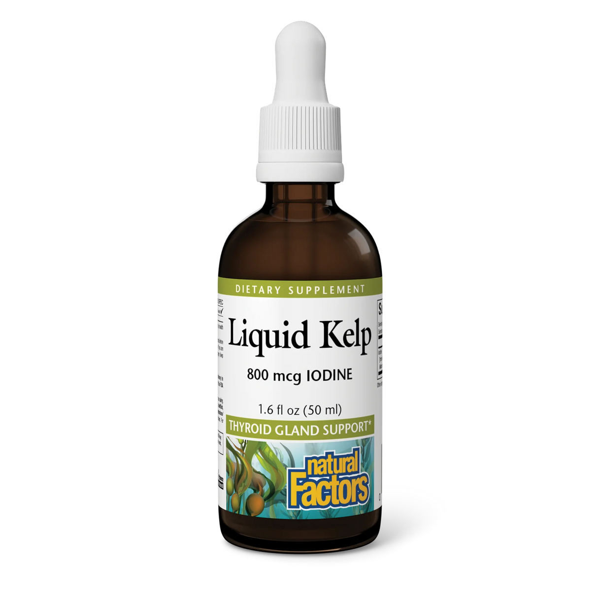 Natural Factors Liquid Kelp 800 mcg IODINE