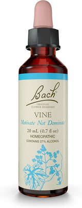 Bach VINE Motivate Not Dominate