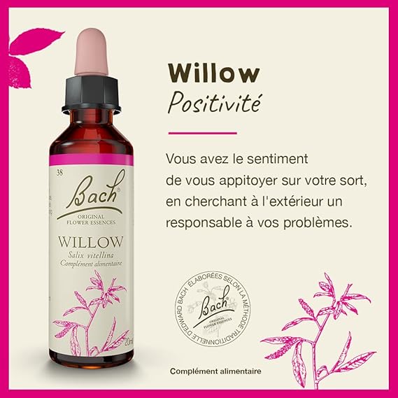 Bach WILLOW Forgive & Forget