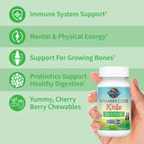 Garden of Life Vitamin Code Kids Cherry Berry 30ct CHEWABLES