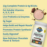 Garden of Life Raw Organic Protein Chocolate 700g POWDER