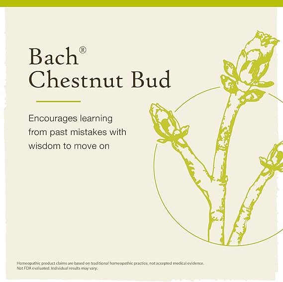 Bach CHESTNUT BUD Learn From Mistakes