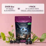 CLAROS FARM Dried Fruit Blackberries 10/1.06 OZ