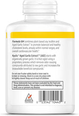 Kyolic Cholesterol Health Formula 104