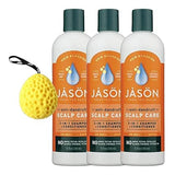 JASON NATURAL PRODUCTS DANDRRUFF RELIEF 2 IN 1 SHAMPOO CONDITIONER 12OZ