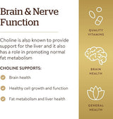 Solgar Choline 350 mg Vegetable Capsules 100V cap