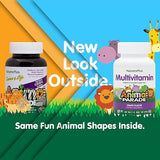 Animal Parade Multivitamin Chewable  Grape Flavor