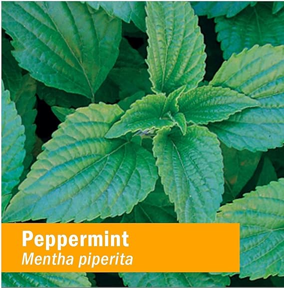 Herb Pharm PEPPERMINT SPIRITS 1 oz