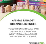 Animal Parade Kid Zinc Chewable Tangerine Flavor