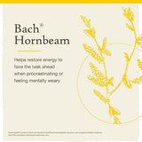 Bach HORNBEAM Procrastinate Less