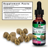 NATURE'S ANSWER BLACK WALNUT 1OZ