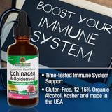 Nature's Answer Echinacea & Goldenseal with Organic Alcohol, 2-Fluid Ounces | Promotes Overall Wellness | Natural Immune Booster | Inflammatory Reducer