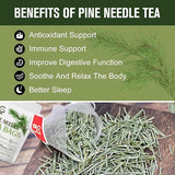 Pine Needle Tea 30 tea bags