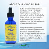 Sulfur Liquid Concentrate 2 fl oz 30 Servings