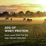 Solgar Grass-Fed Whey To Go® Protein Powder Natural Vanilla Flavor 12 ozpowder