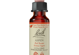 Bach Original Flower Remedies Fear No More Kit