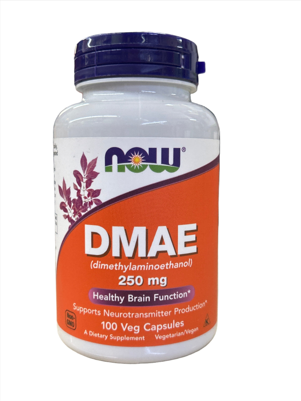 Now DMAE 250 mg 100 Veg Capsules