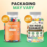 Irish Sea Moss Gummies