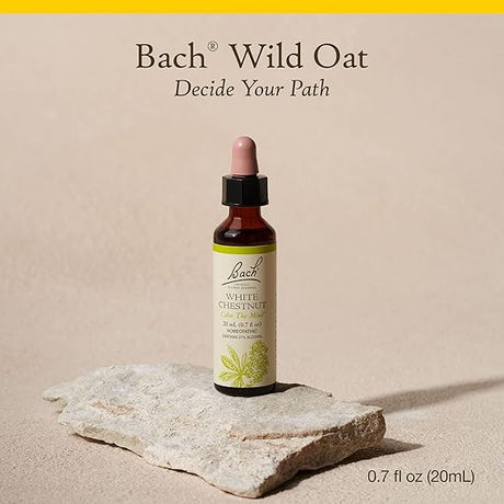 Bach WILD OAT Decide Your Path