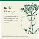 Bach CENTAURY Be Assertive