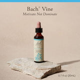 Bach VINE Motivate Not Dominate