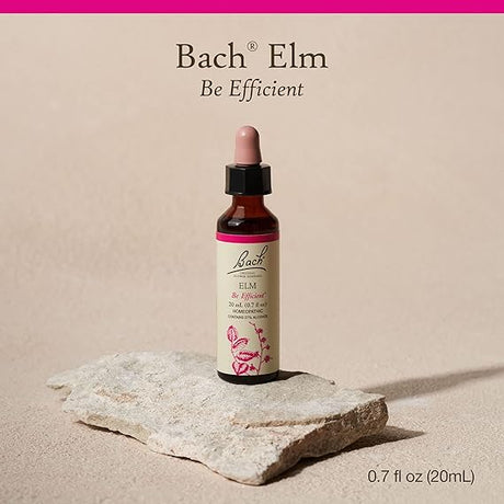 Bach ELM Be Efficient