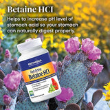 Enzymedica Betaine HCI Fast Acting 60 Capsules