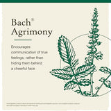 Bach AGRIMONY Communicate Openly