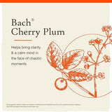 Bach CHERRY PLUM Be In Control