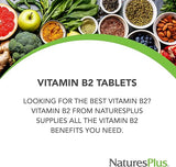 Vitamin B2 100 mg