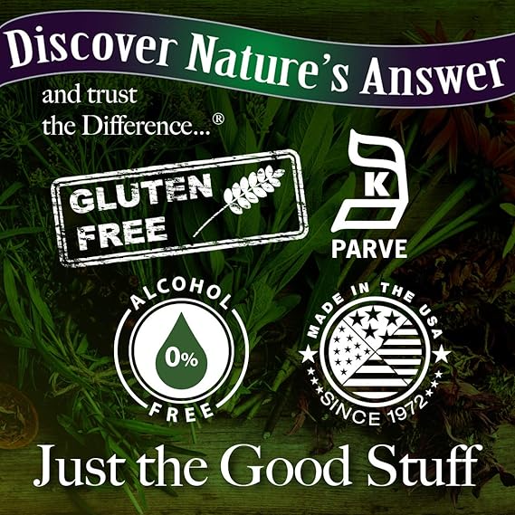 NATURE'S ANSWER ALC FREE GINSNG SI 2OZ