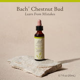 Bach CHESTNUT BUD Learn From Mistakes