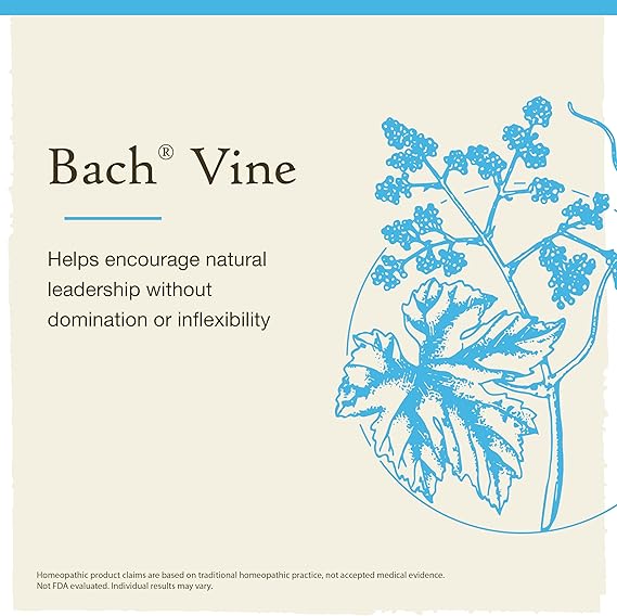 Bach VINE Motivate Not Dominate