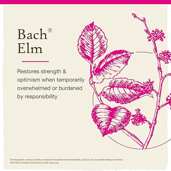 Bach ELM Be Efficient