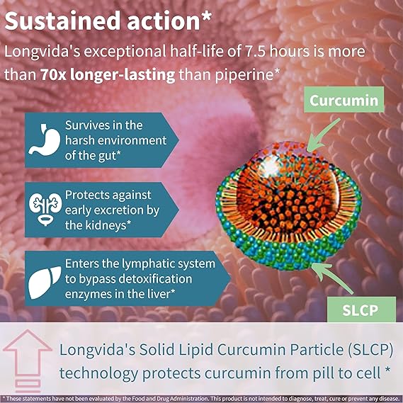 Longvida Curcumin 500 mg