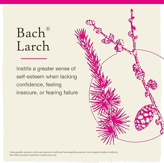 Bach LARCH Have Confidence