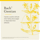 Bach GENTIAN Accept Setbacks