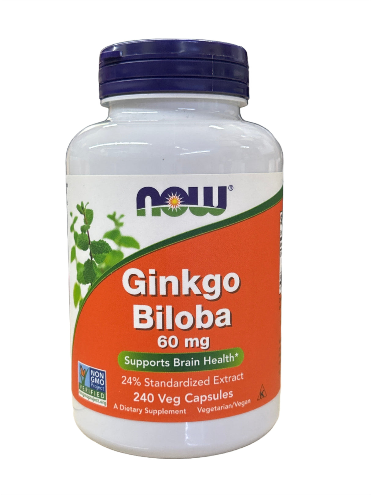 Now Ginkgo Biloba 60 mg 60 Veg Capsules