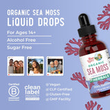 MaryRuth Organics Irish Sea Moss Liquid Drops | Sugar Free | SeaMoss for Gut Health and Immune Support | Formulated for Adults & Kids Ages 14+ | Unflavored | Vegan | USDA Organic| Non-GMO | 1 Fl Oz |