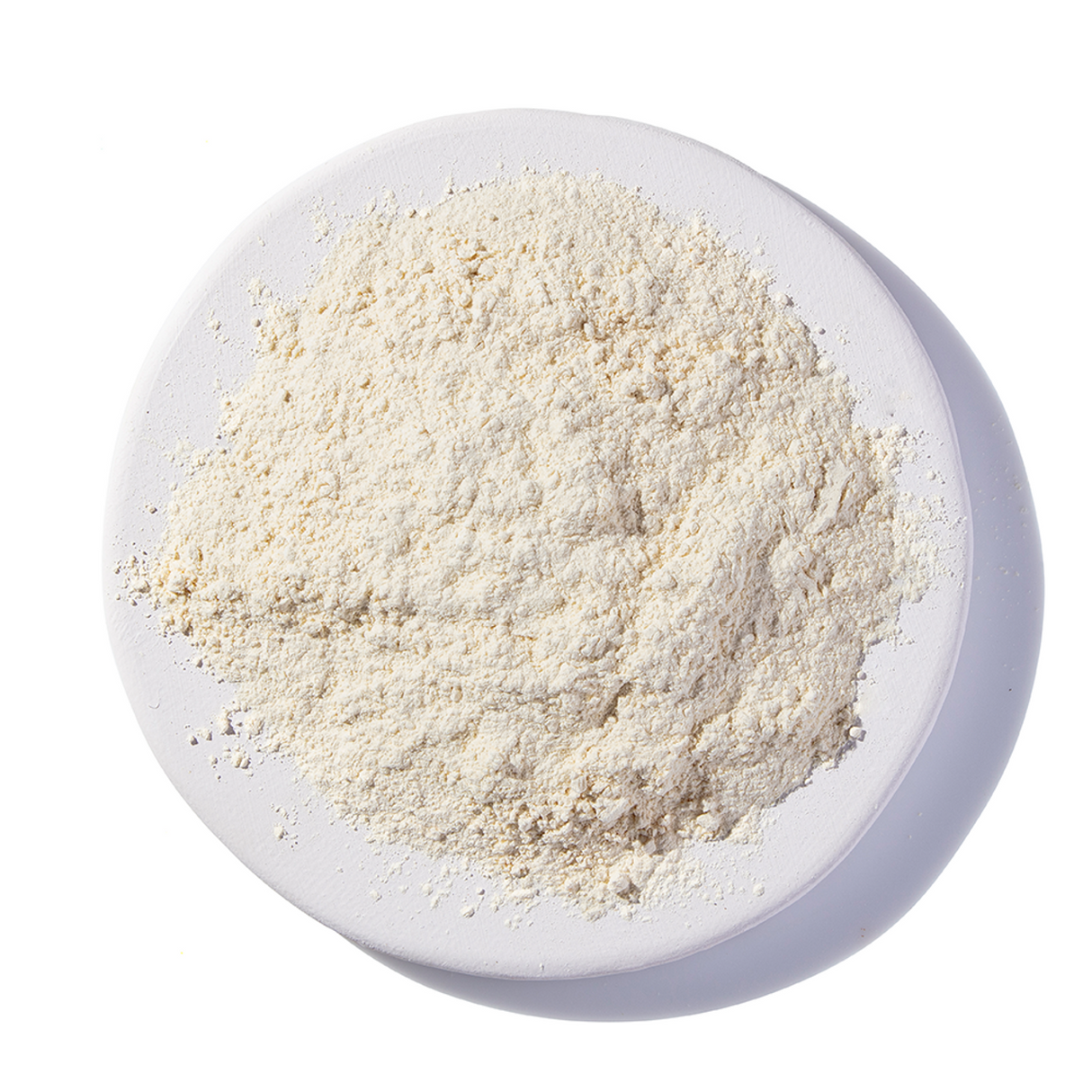 GARLIC POWDER ORGANIC