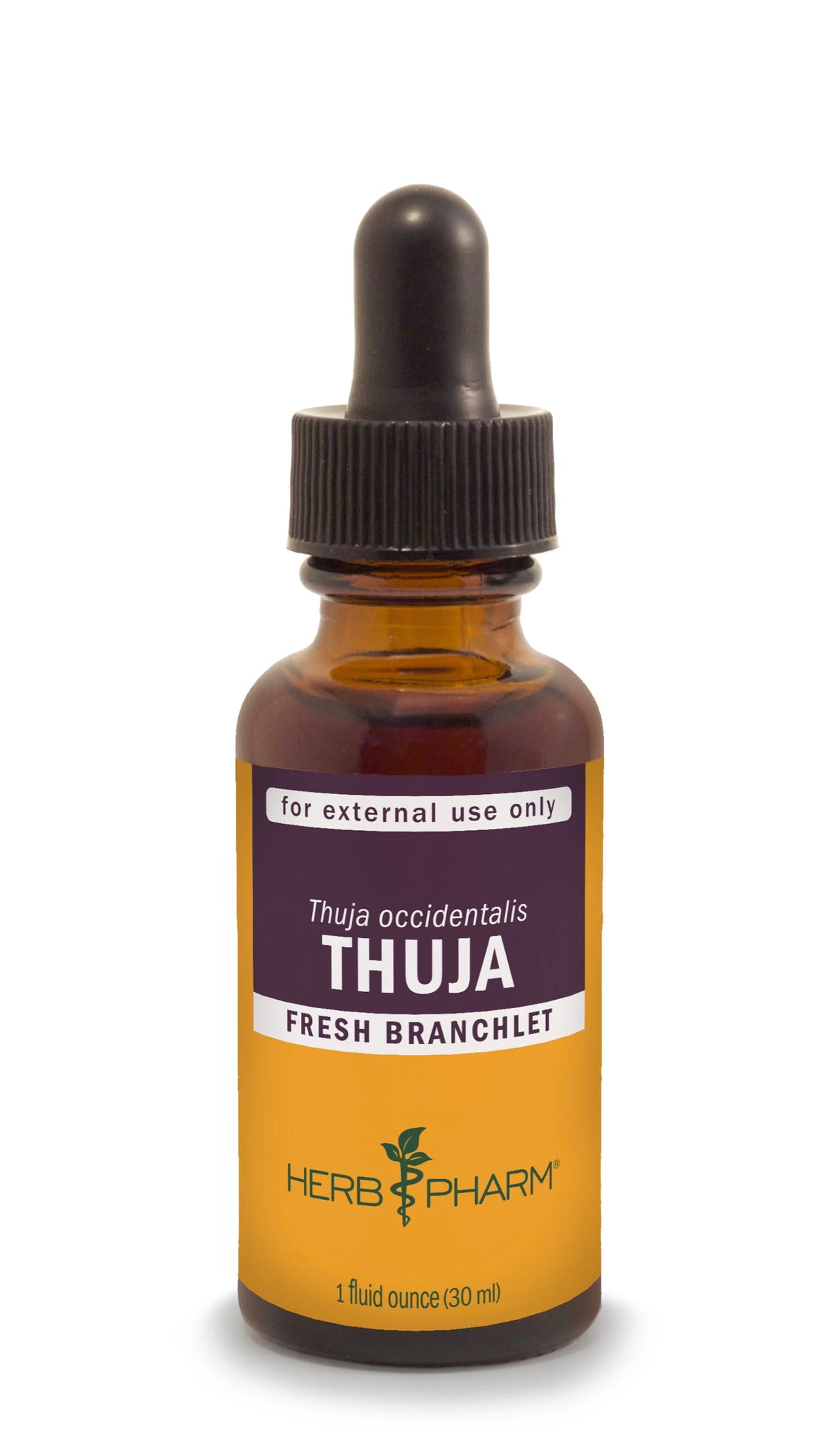 Thuja Fresh Branchlet 1 fl oz