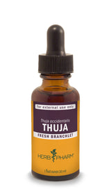 Thuja Fresh Branchlet 1 fl oz