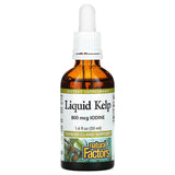 Natural Factors LIQUID KELP 1.6/OZ