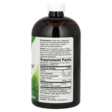 Nature's Way Chlorofresh® Liquid Chlorophyll Mint Flavor 16 Fl Oz