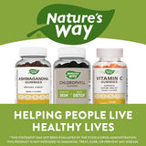 Nature's Way Chlorophyll Gummy 60 Gummies