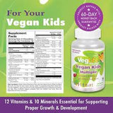 Vegan Kids Multiple Chewable Berry Flavor